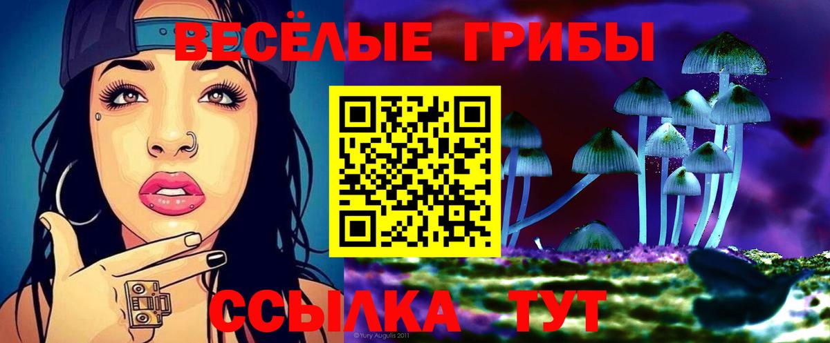 купить наркоту  Вход с VPN  Стрежевой  Галлюциногенные грибы Psilocybe 